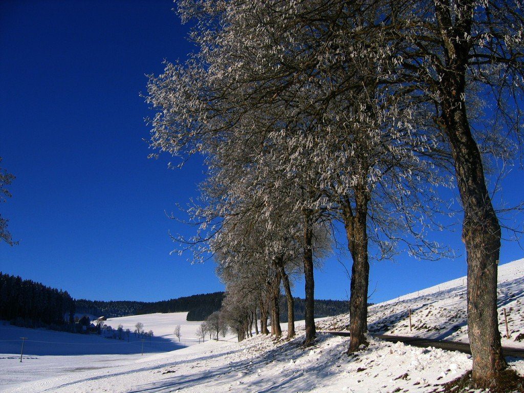 El cielo azul de invierno, sin mucha nieve es sinónimo de un día realmente frío.